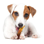Nylabone Power Chew Flavor Frenzy Bone Triple Pack Chew Toy Up to 11kg Dogs 11.43cm x 2.54cm x 4.44cm
