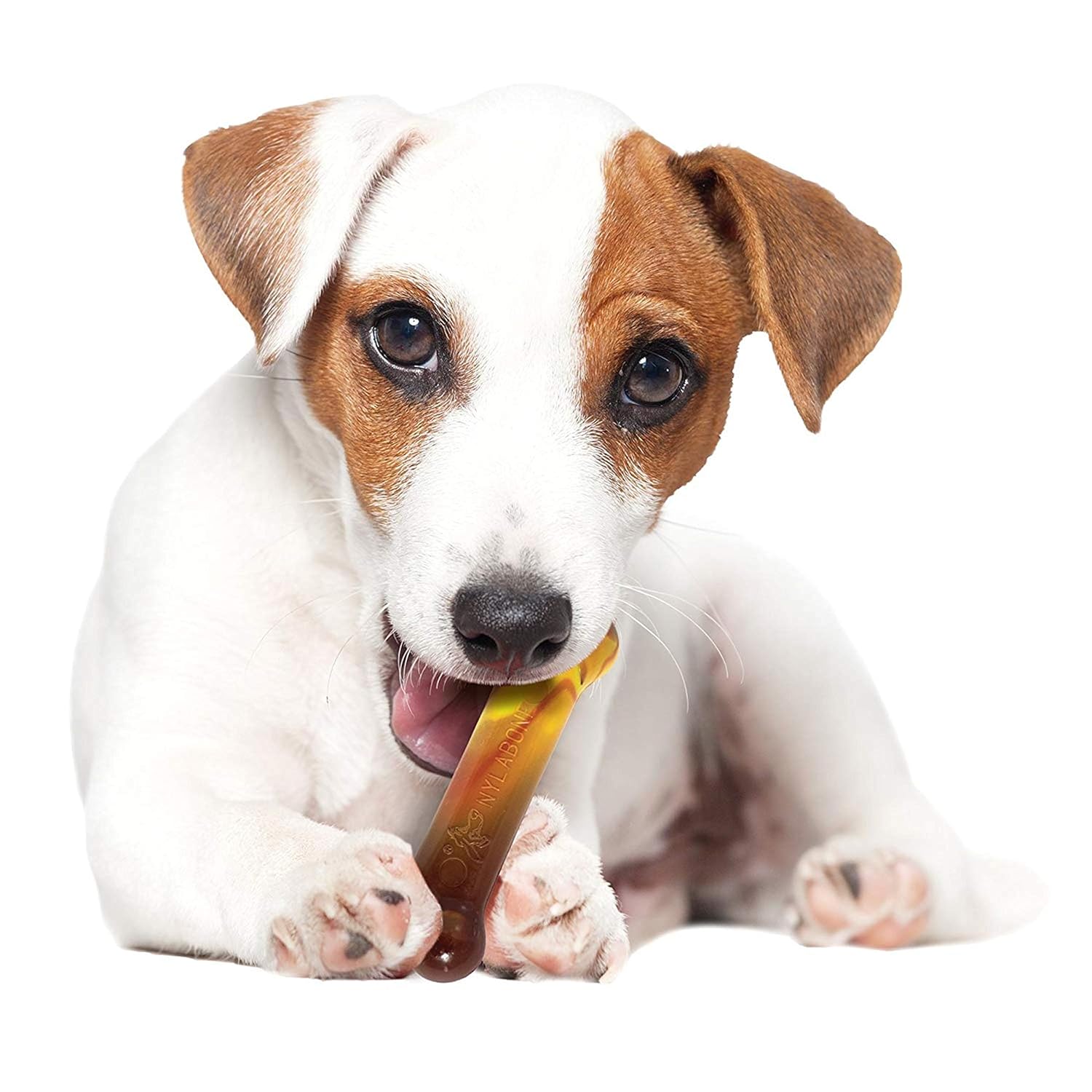 Nylabone Power Chew Flavor Frenzy Bone Triple Pack Chew Toy Up to 11kg Dogs 11.43cm x 2.54cm x 4.44cm