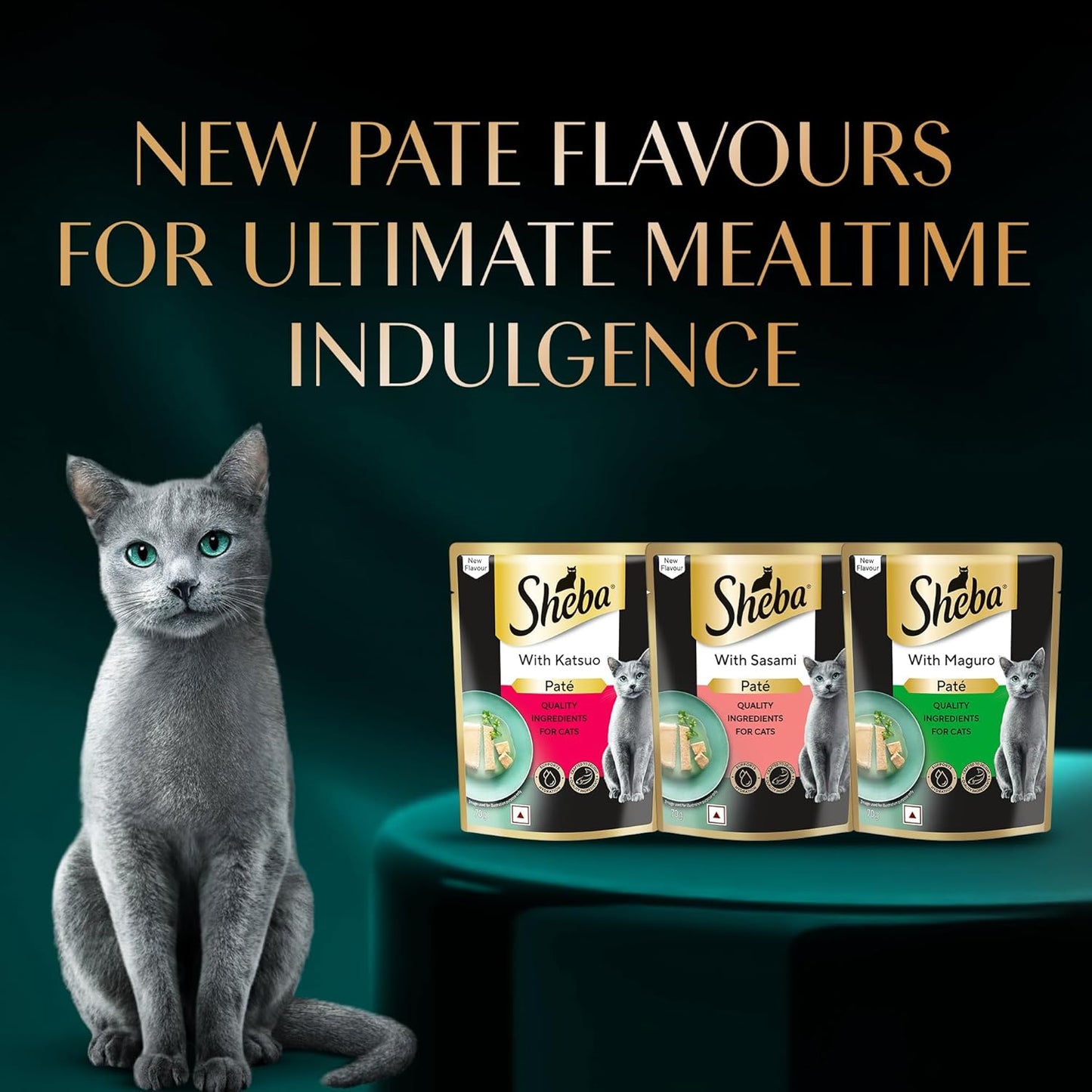 Sheba Soft Pate Kitten Maguro Wet Cat Food 70g