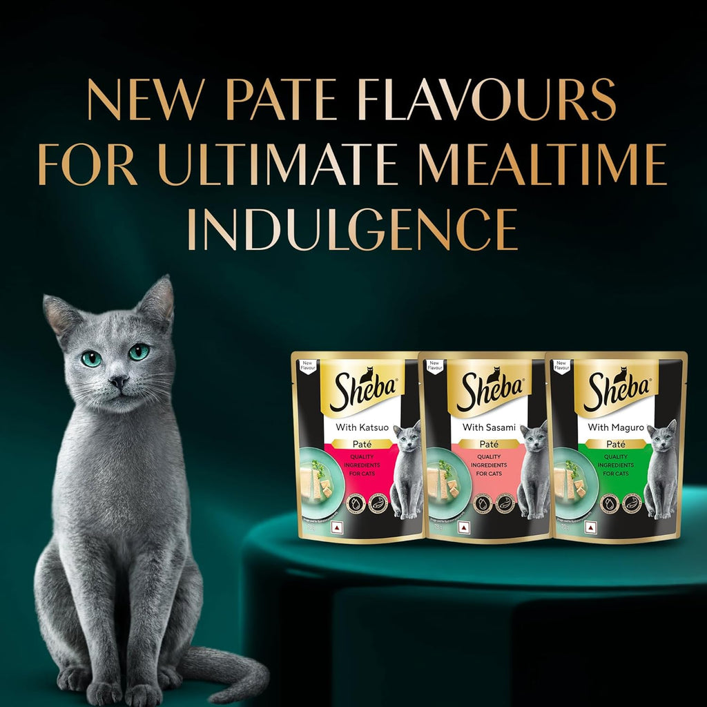 Sheba Pate Maguro Wet Cat Food 70g
