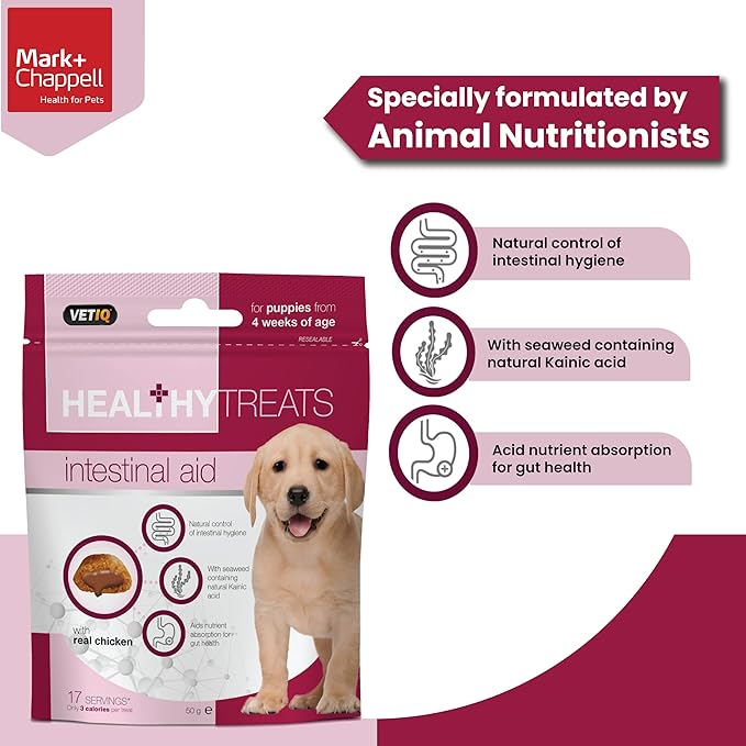 VETIQ Healthy Treats Intestinal Aid for Puppies & Dogs With Real Chicken 50gm (Pack of 2)