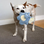 Kong Snuzzles Kiddos Sloth Small