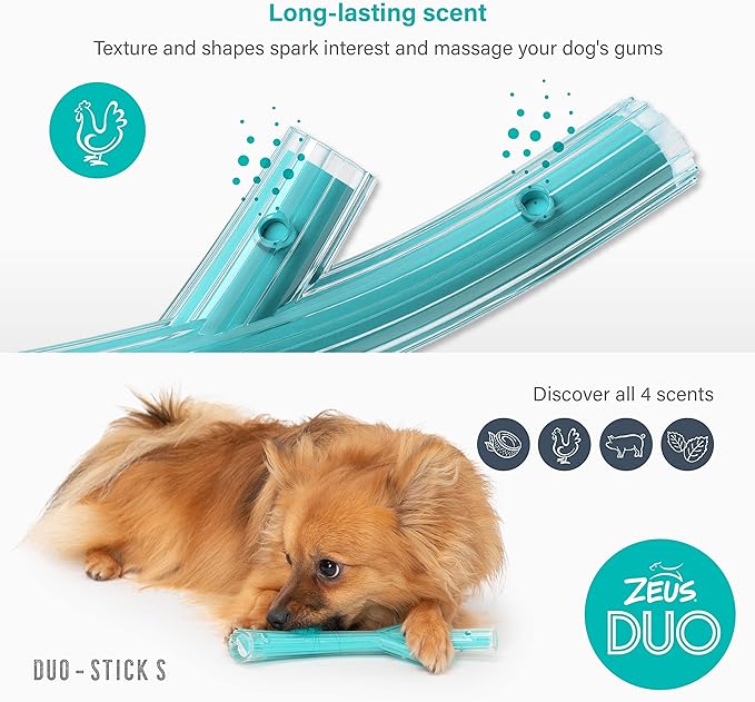 Zeus Duo Stick Chew & Fetch Toy Chicken Flavour - Turquoise