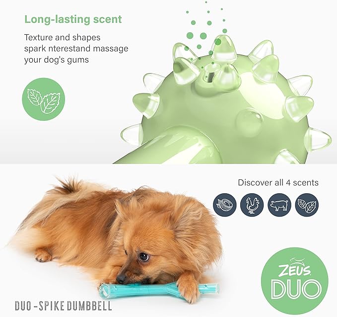 Zeus Duo Spike Dumbbell Chew Toy Mint Flavour - Green