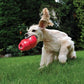 Kong Classic Bounzer Fetch Dog Toy Medium