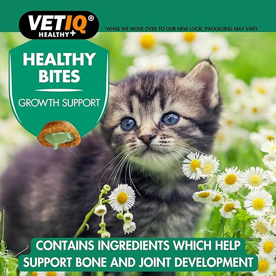 VETIQ Healthy Bites Growth Support For Kittens From 8 Weeks Of Age 65gm (Pack of 2)