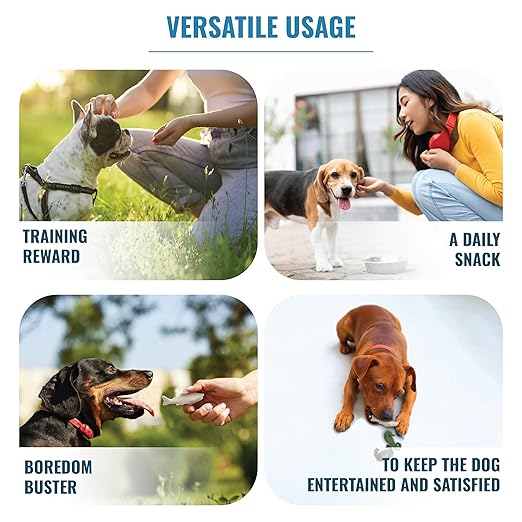 Sea World Dog Treats Tasty And Fun Dog Treat With Calcium-Rich Gluten-Free Nutrients Suitable For All Breeds Of Dogs 80g