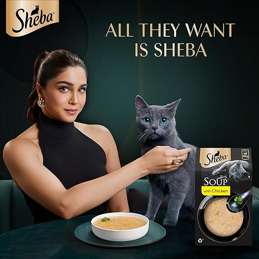 Sheba Soup With Chicken Wet Food For Cat 40gm x 4pcs