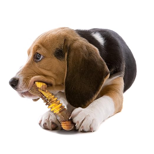 Nylabone Power Chew Flavor Frenzy Textured Bone Philly Cheesesteak Flavor Up to 16kg Dogs 14.75cm x 4.77cm x 3.17cm