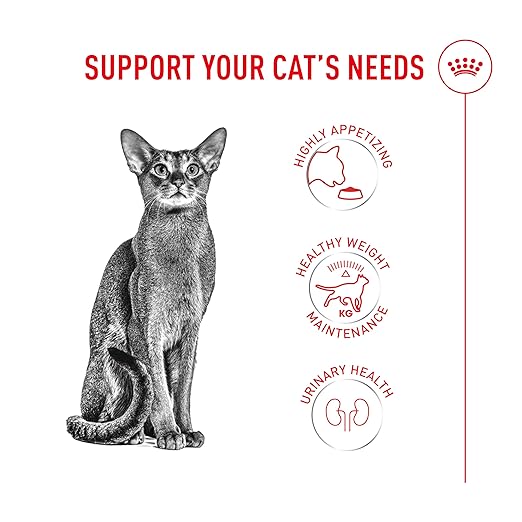 Royal Canin Fussy Exigent Cat Dry Food 2kg