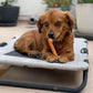 Nylabone Power Chew Flavor Frenzy Bone Triple Pack Chew Toy Up to 7kg Dogs 9.67cmx 2.69cm x 1.60cm
