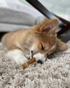 Nylabone Puppy Chew & Ring Bone Twin Pack Chicken Flavor Chew Toy Up to 16kg Dogs 13.97cm x 4.44cm x 2.54cm