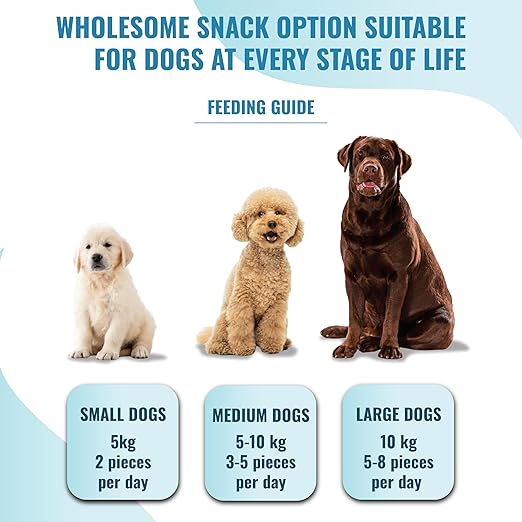 Sea World Dog Treats Tasty And Fun Dog Treat With Calcium-Rich Gluten-Free Nutrients Suitable For All Breeds Of Dogs 80g