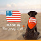 Nylabone Power Chew Bone Bacon Flavor Up to 7kg Dogs 9.67cm x 2.69cm x 1.60cm