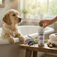 Nature Paws Lavender & Shea Butter Shampoo & Conditioner For Dogs and Cats