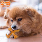 Nylabone Silver Collection Flexi Chew X-Bone Turkey & Sweet Potato Flavor Up to 11kg Dogs 9cm x 2cm x 3cm