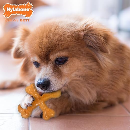 Nylabone Silver Collection Flexi Chew X-Bone Turkey & Sweet Potato Flavor Up to 11kg Dogs 9cm x 2cm x 3cm