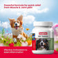 Beaphar HD Hip Dysplasia & Joint Problems Supplement Tablets for Dogs 60 Tablets