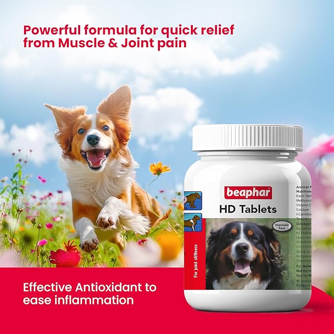 Beaphar HD Hip Dysplasia & Joint Problems Supplement Tablets for Dogs 60 Tablets