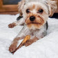 Nylabone Power Chew Flavour Frenzy Bone Twin Pack  Bacon Cheeseburger Flavor & Apple Pie Up to 11kg 11.43cm x 2.54cm x 4.44cm