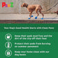 Pawz Protex Rubber Waterproof Dog Boots Bright Green - Tiny