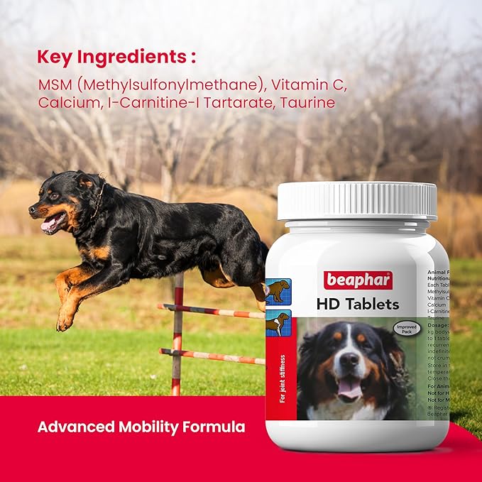 Beaphar HD Hip Dysplasia & Joint Problems Supplement Tablets for Dogs 60 Tablets