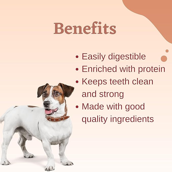 Dogaholic Super Bone Stick 27 in 1 Salmon Oil Flavor Treat For Dog 420g