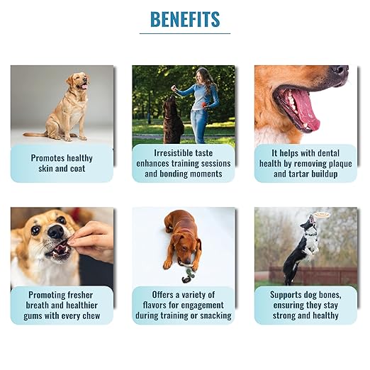 Sea World Dog Treats Tasty And Fun Dog Treat With Calcium-Rich Gluten-Free Nutrients Suitable For All Breeds Of Dogs 80g