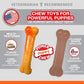 Nylabone Power Puppy Chew Twin Pack Beef Broth & Vegetables Flavor Up to 11kg Dogs 11.50cm x 1.50cm x 2.50cm