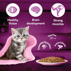Whiskas Kitten Junior (2-12 Months) Tuna in Jelly Wet Food 80g