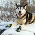 Truelove Waterproof Anti-Slip Boots for Dogs - Neon Yellow (Set of 4)