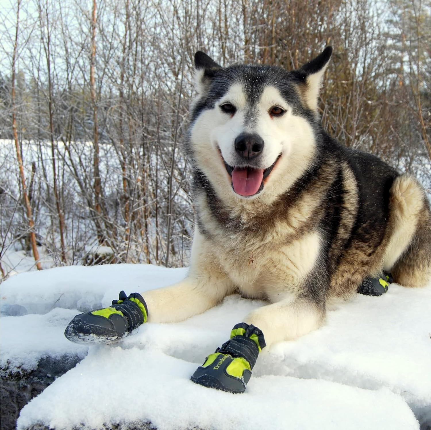 Truelove Waterproof Anti-Slip Boots for Dogs - Neon Yellow (Set of 4)