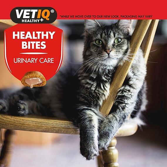 VETIQ Healthy Bites Urinary Care With Cheese & Catnip For Cats and Kittens 65gm (Pack of 2)