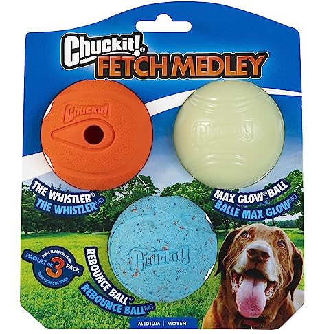 Chuckit Fetch Medley Balls 3pk - Medium
