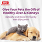 Bio Pet Active Silycumin For Kidney & Liver Support for Cats and Small Breed Dogs (50 Tablets)