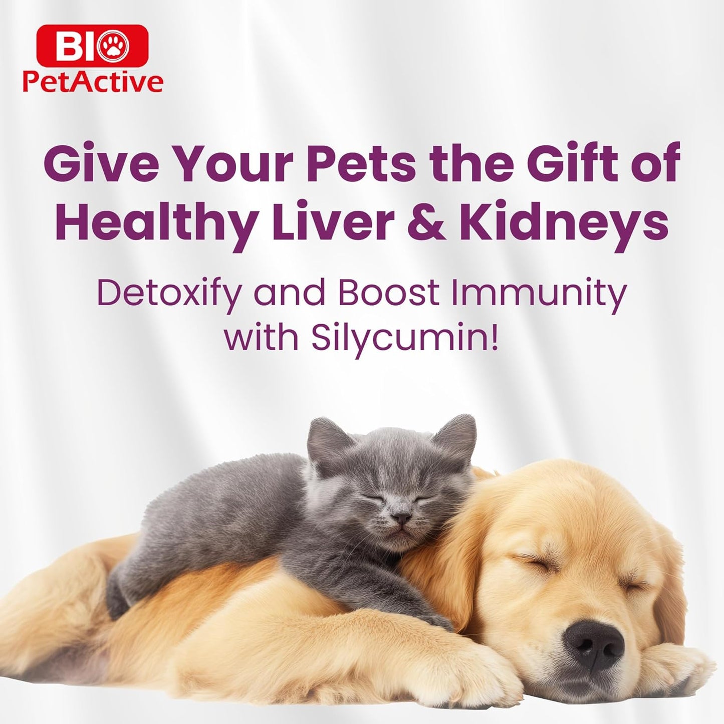 Bio Pet Active Silycumin For Kidney & Liver Support for Cats and Small Breed Dogs (50 Tablets)