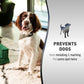 Nature's Miracle Advanced Platinum No More Marking Spray For Dogs 709ml