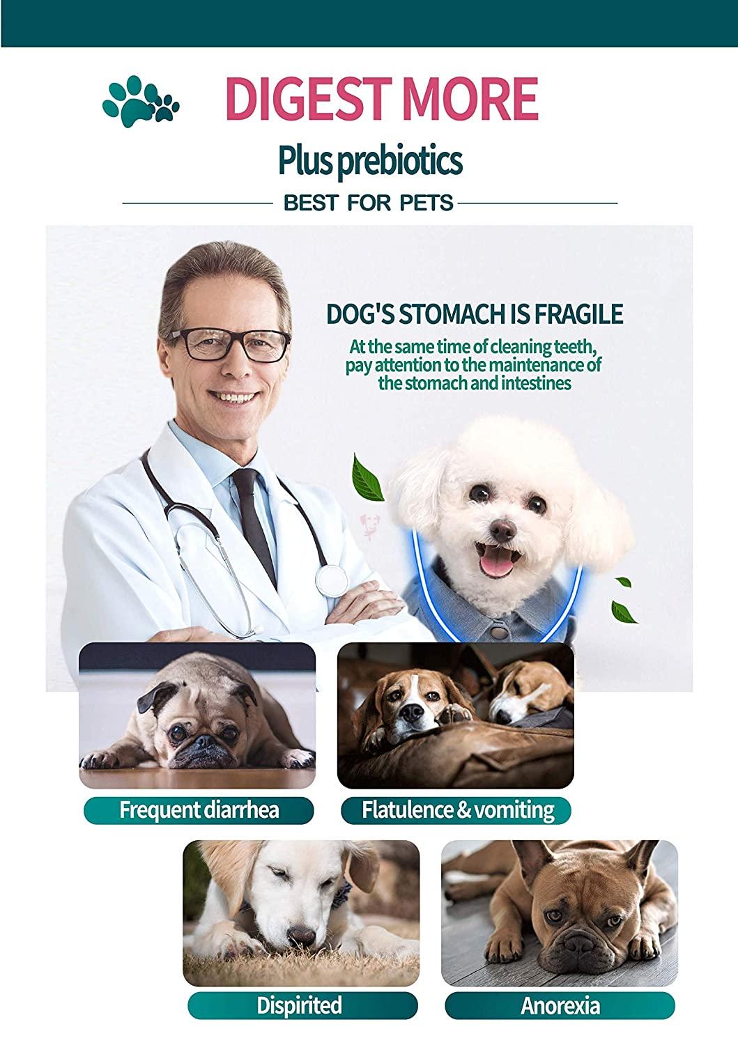 Gnawlers More Digest Plus Prebiotics Dental Bones for Dogs