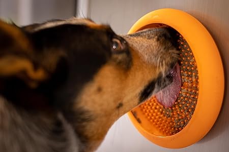 LickiMat UFO Slow Feeder For Dog 17.78x3.81x17.78cm