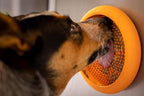 LickiMat UFO Slow Feeder For Dog 17.78x3.81x17.78cm