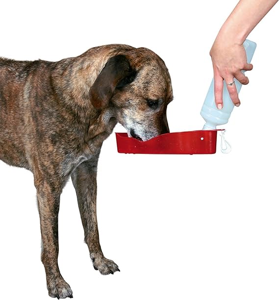 Trixie Bottle With Bowl With Hook to Attach 500ml