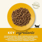 Applaws Complete and Grain Free Dry Kitten Food Kitten Chicken for All Cats 2kg