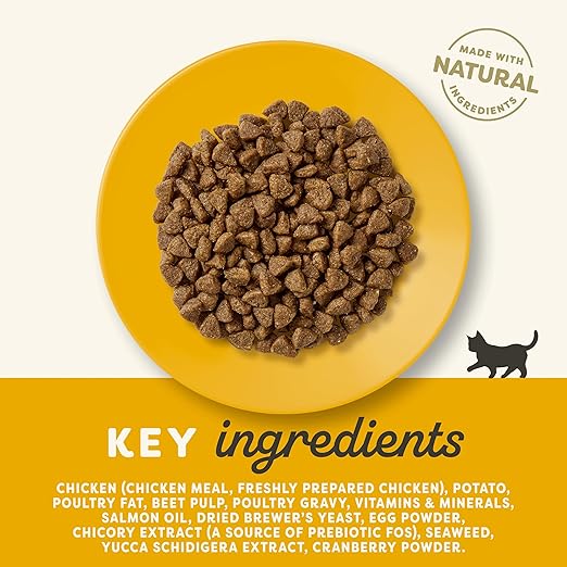 Applaws Complete and Grain Free Dry Kitten Food Kitten Chicken for All Cats 2kg