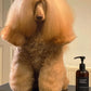 iGroom Pro-Keratin Leave-In Conditioner For Dogs 473ml