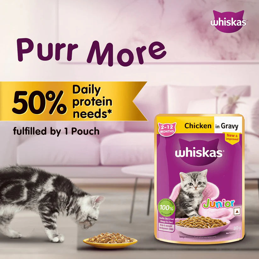 Whiskas Chicken in Gravy Kitten 2-12 Months Wet Food 85g (Pack of 14)