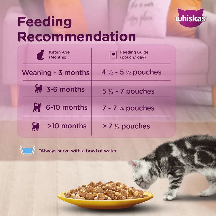 Whiskas Chicken in Gravy Kitten 2-12 Months Wet Food 80g