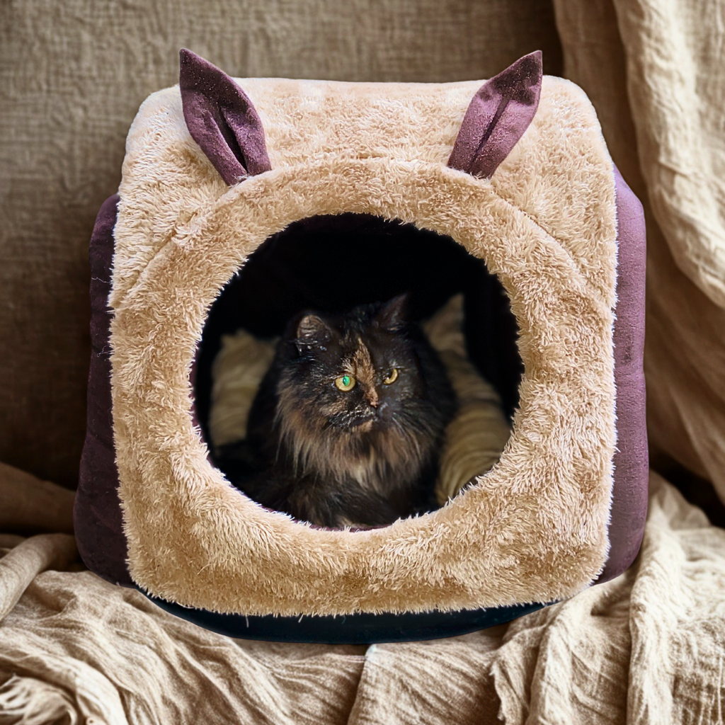 Caninkart Hut-Snail Bed For Cats & Small Breed Dogs 22cm x 17cm x 16cm - Brown