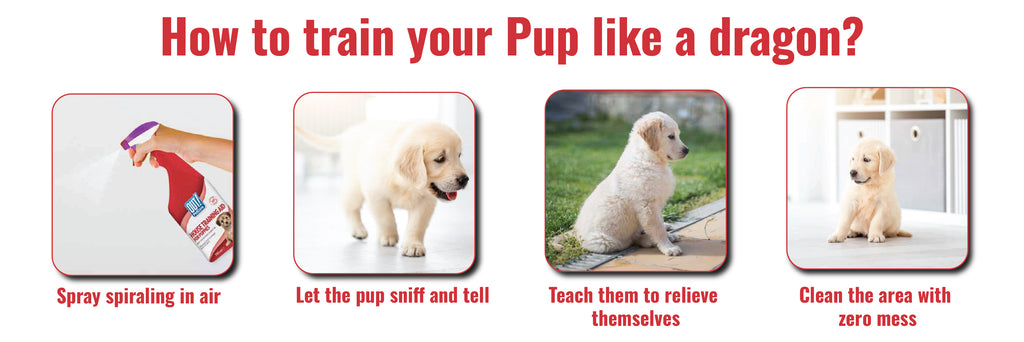 Out House Training Aid for Puppies 500ml