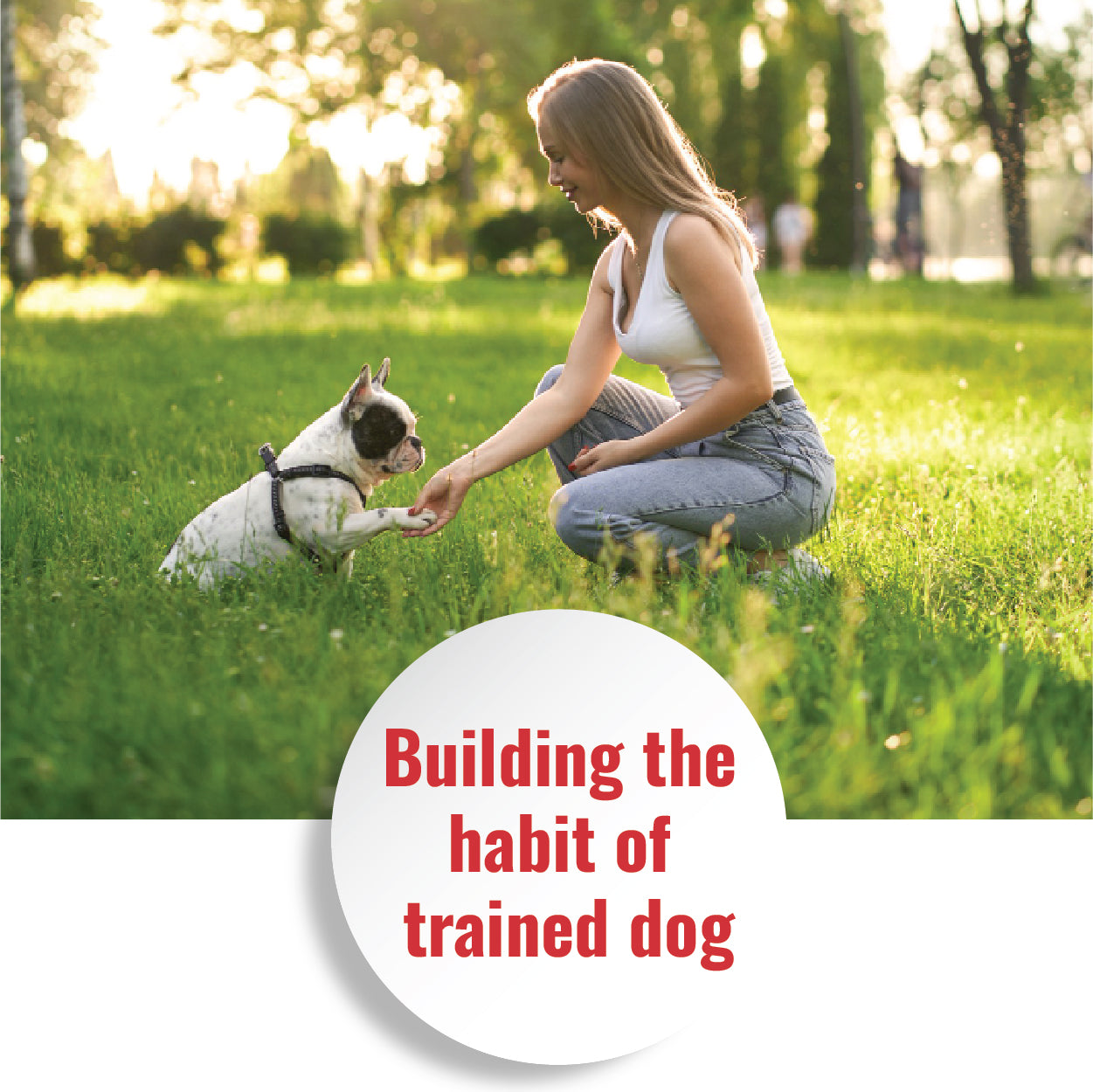 Out House Training Aid for Puppies 500ml