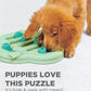 Outward Hound Nina Ottosson Puppy Hide N Slide Interactive Treat Toy For Dogs Green 29cm